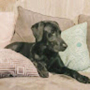 Meet your Posher, Scott